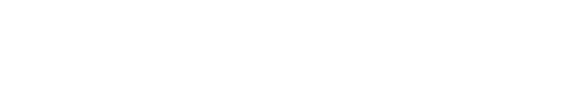 ARRIZO 8